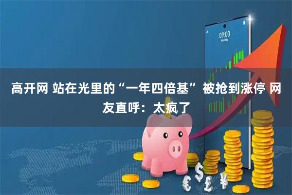 高开网 站在光里的“一年四倍基” 被抢到涨停 网友直呼：太疯了